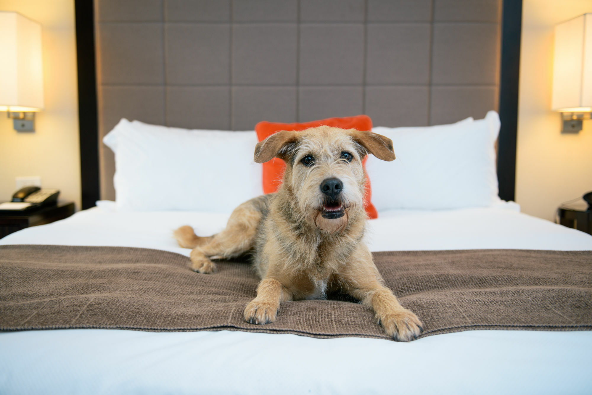 Candlewood Suites - Bluffton-Hilton Head By Ihg Εξωτερικό φωτογραφία